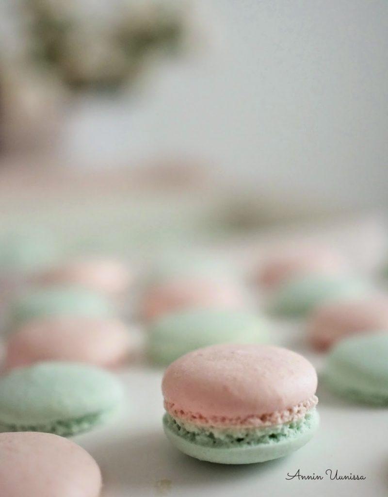 Macarons -leivokset kesän juhliin pastellin väreissä