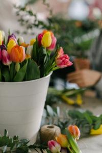 Kukkaterapiaa & Kukkasidontaa tulppaaneilla