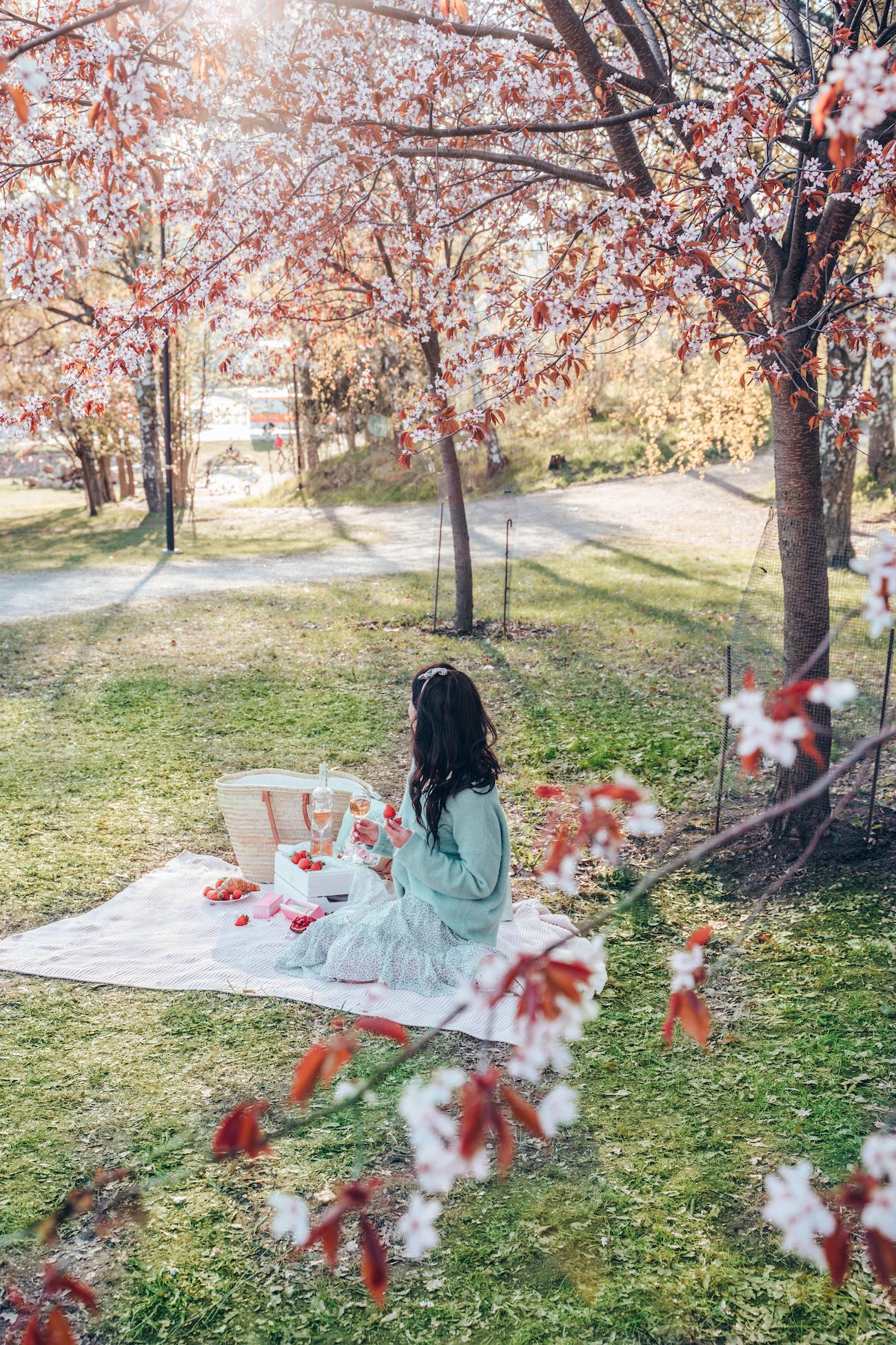 Piknik Kirsikkapuistossa