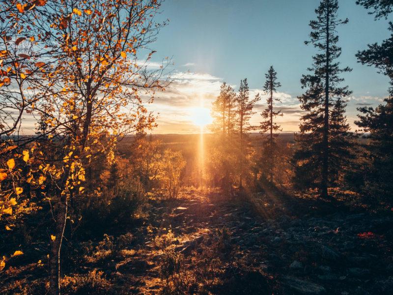 Lapin Ruska (yöjunalla vauvan kanssa)