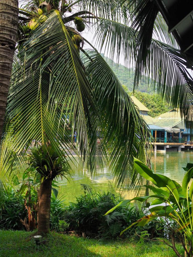 Thaimaa - Ao Nang: Saaria, herkkuja ja ananaksia