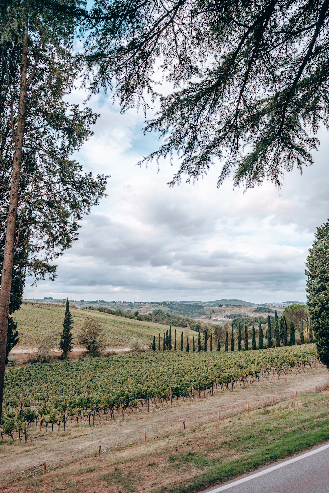 Viinitilalla Toscanassa - Tenuta Ruffino