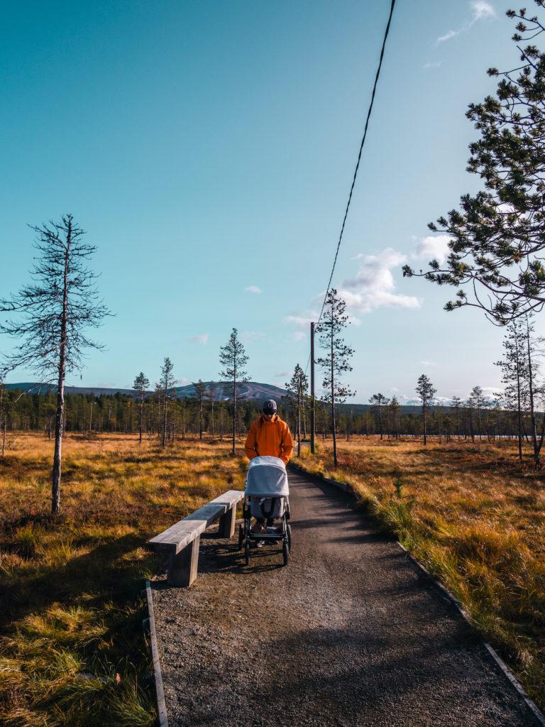 Lapin Ruska (yöjunalla vauvan kanssa)